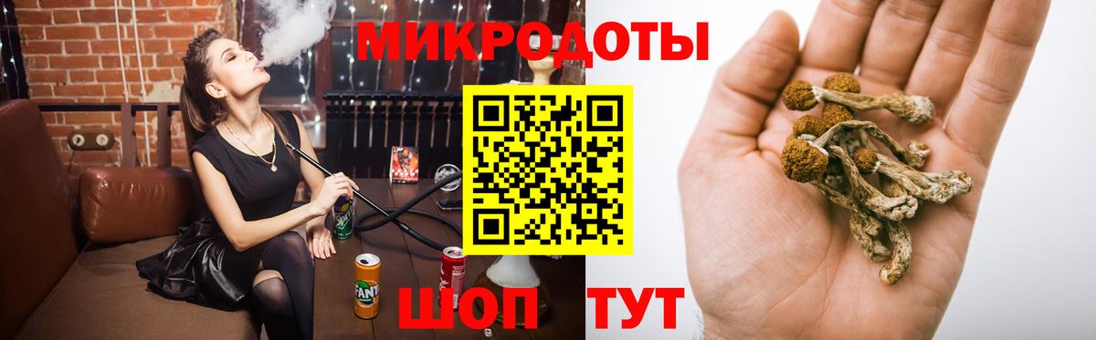 Воркута  Галлюциногенные грибы Psilocybine cubensis  Вход с VPN 